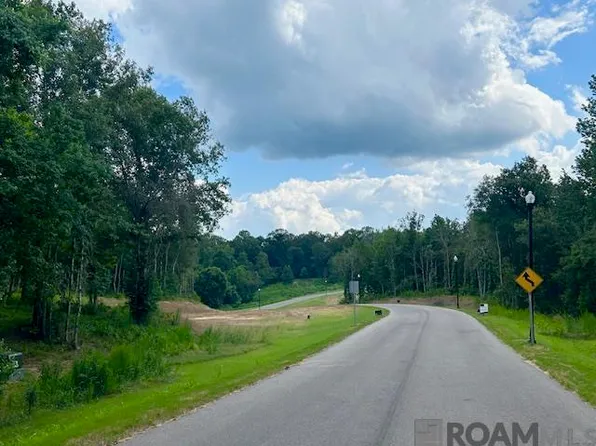 4040 Oak Run Dr, Saint Francisville, LA 70775