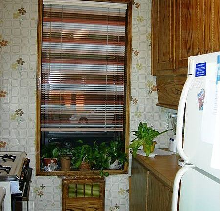 Kitchen with window