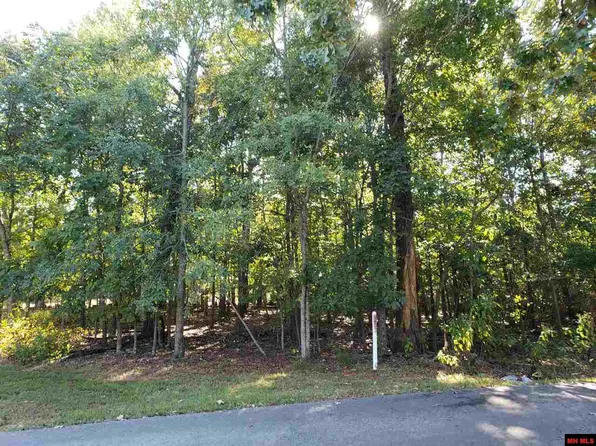 Lots 1 3 Kingwood Ln, Bull Shoals, AR 72619