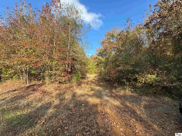 0 Highway 552, Downsville, LA 71234