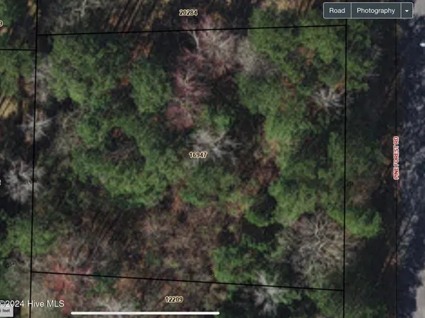 0 Pine Forest Road, Ayden, NC 28513