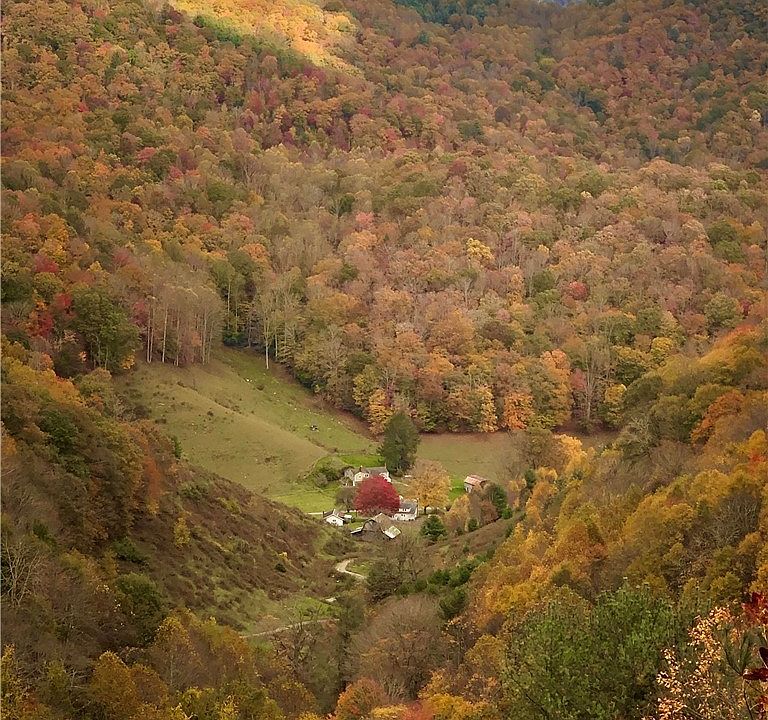 40th image of 962 Hawks Roost Trail