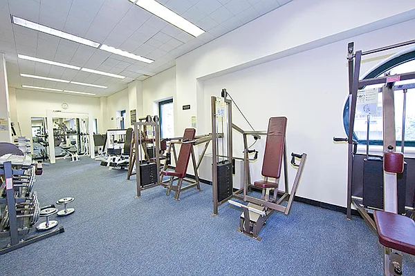 Sold by Rand Realty NY | media 24