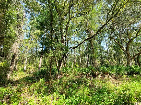 3rd image of Lot 25 NE 466th Ave