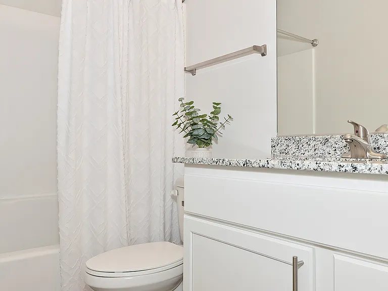 Modern Bathroom Oasis