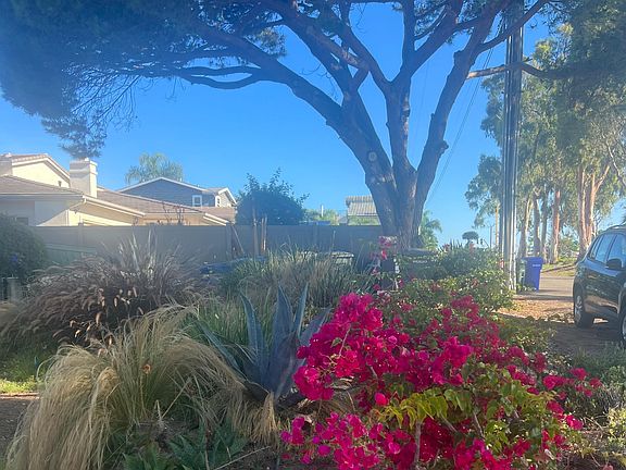 Front yard