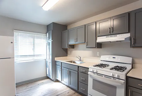 Floor plan 1 Bedroom 1 Bathroom