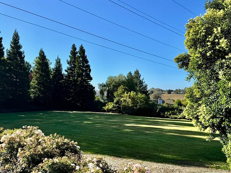 Large well-maintained green areas