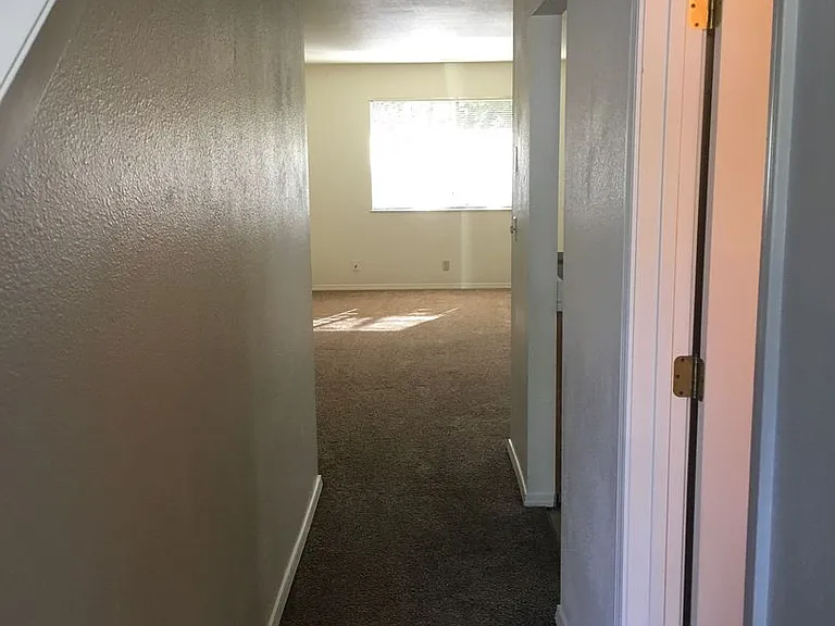 1129 Burton Dr — Photo 3
