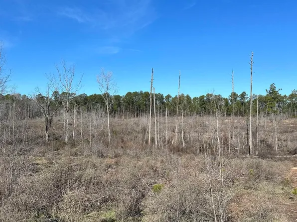 An Cres #346, Palestine, TX 75803