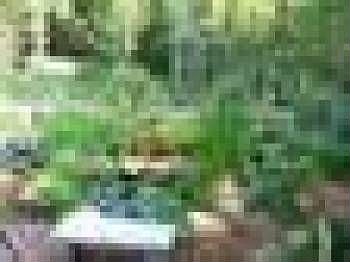 3rd image of 3416 Isle Of Pines Dr