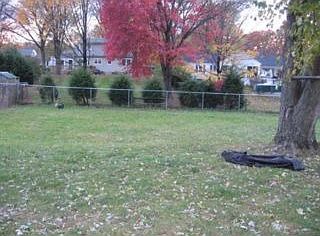 Fenced in backyard