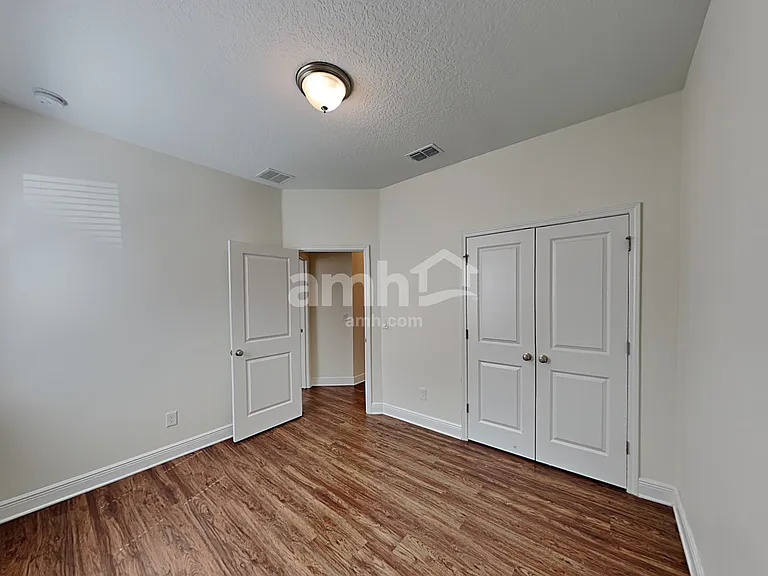 1306 Celery Palm Cv — Photo 16