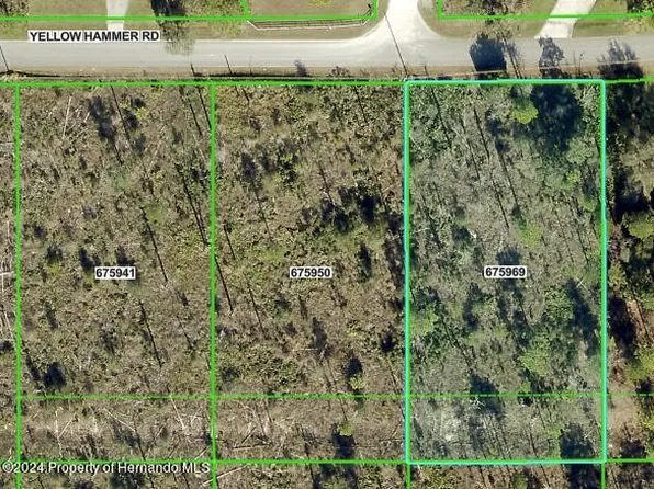 0 Yellow Hammer Rd, Brooksville, FL 34614
