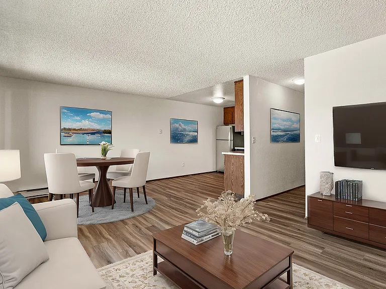 Chic Open Living Space