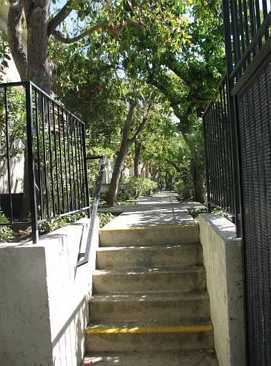 Front yard