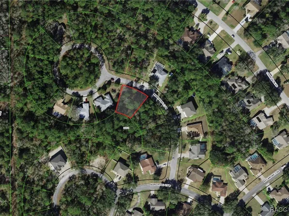 12 Mangrove Ct N, Homosassa, FL 34446