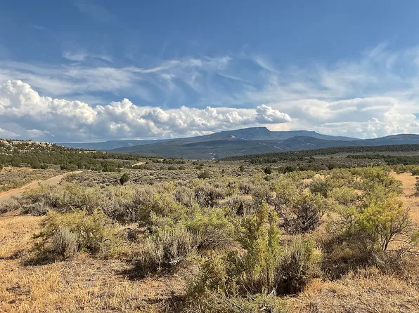 4350 Horse Canyon Rd, De Beque, CO 81630