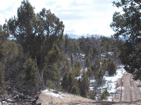 2nd image of Lot 19 County Road 42 ZN