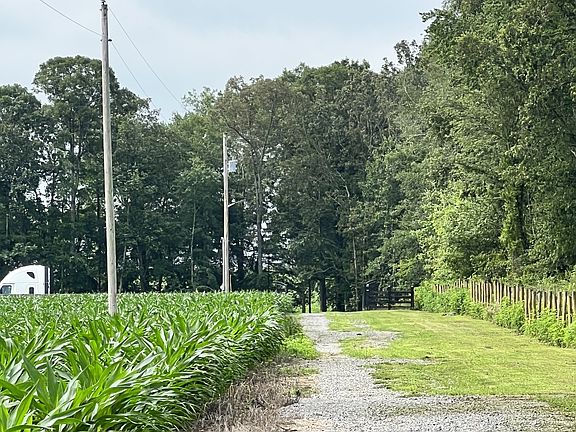 5th image of 223 Baer Ln