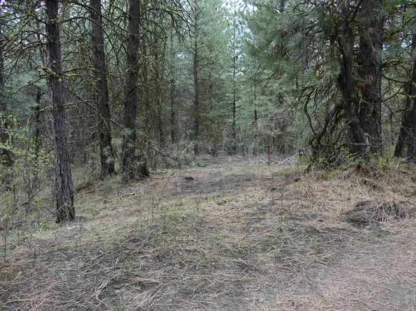 Tbd Outlaw Trl, Banks, ID 83602