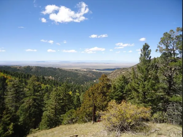 6151 Forbes Road, San Luis, CO 81152