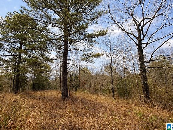 2nd image of 1344 Denas Cove Rd #1