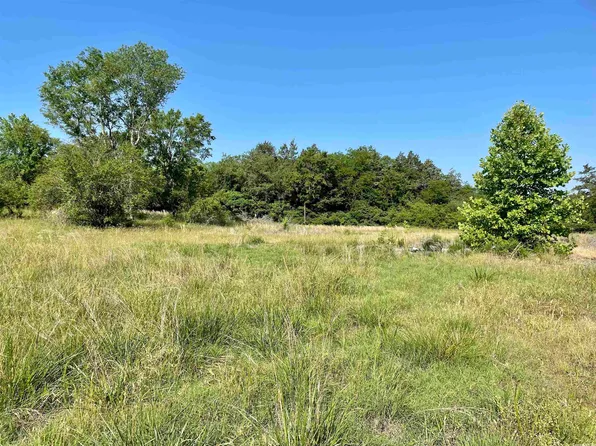 54 Gray Ln, Calico Rock, AR 72519