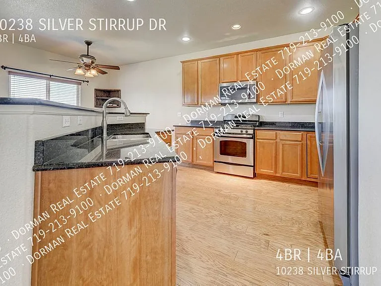 10238 Silver Stirrup Dr — Photo 4