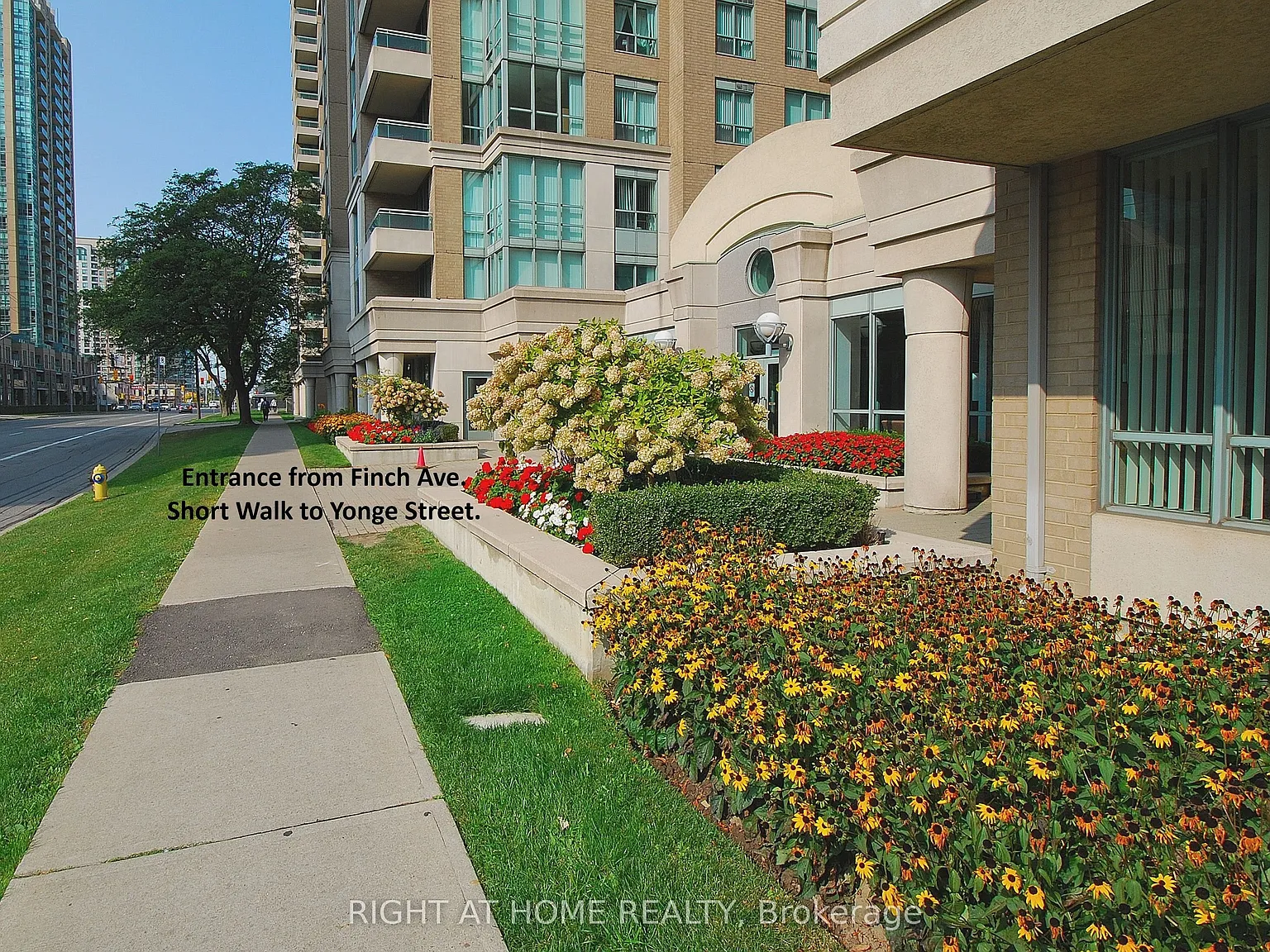2 bed, $3,000 — Photo 3