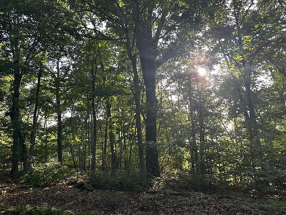 3rd image of Tbd Center Road
