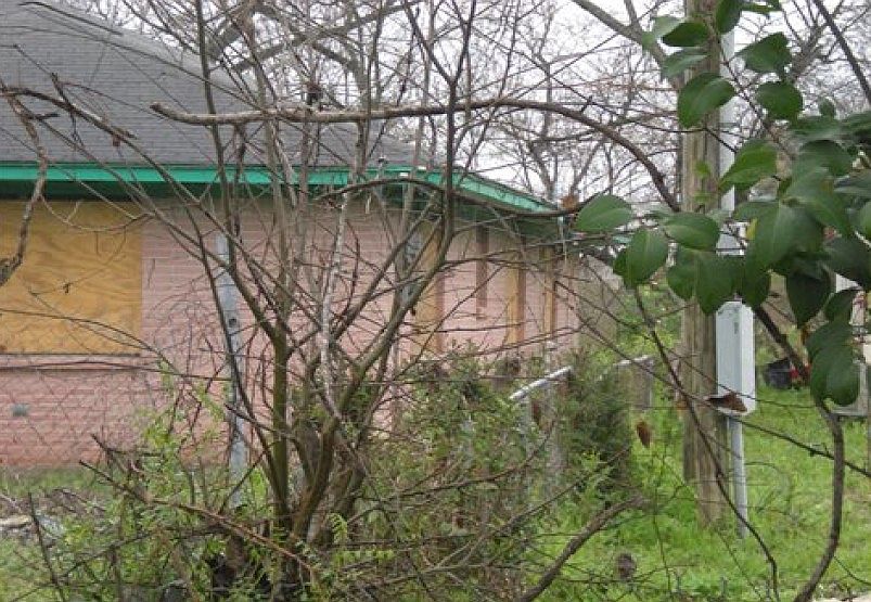 2nd image of 12902 Mosielee St