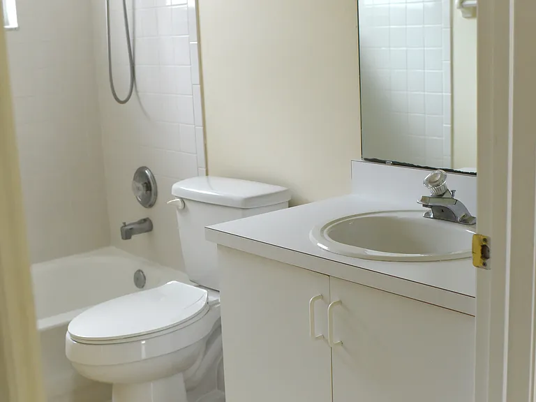 Master Bathroom V1