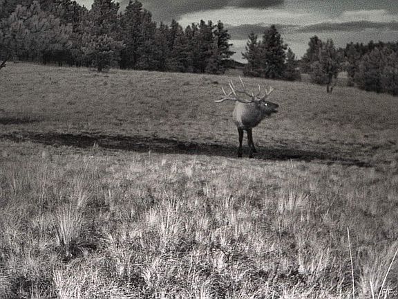 4th image of 10801 County Road M-32