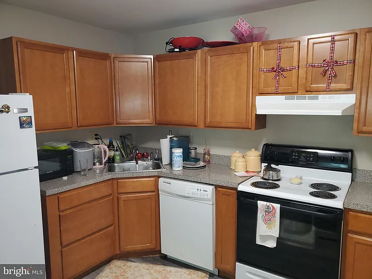 10024 Beacon Hill Dr — Photo 5