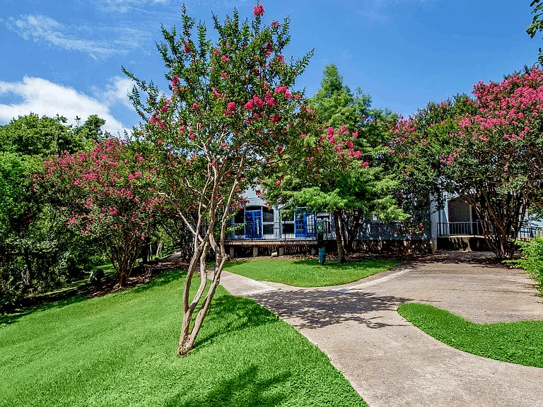 Bel Air Oaks — Photo 17