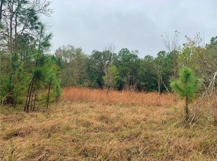 3110 Tenoroc Mine Rd, Lakeland, FL 33805