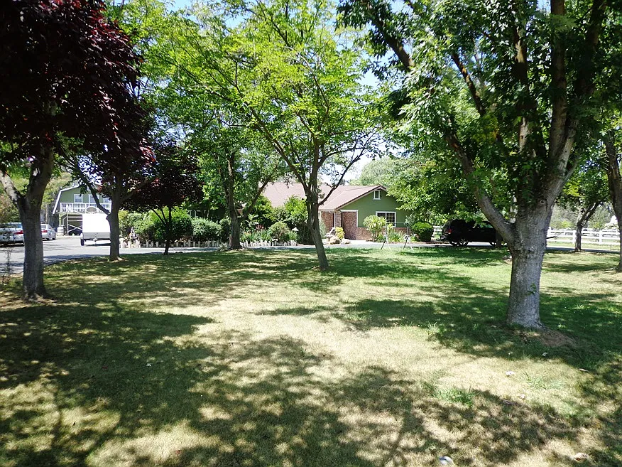 10344 Colony Rd photo 1