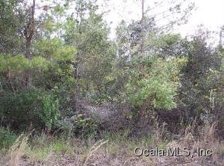 0 Ne 135 Lane, FORT MCCOY, FL 32134