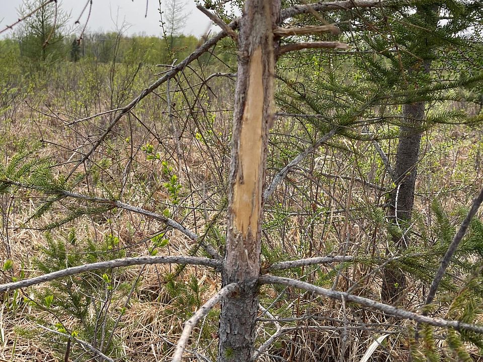 28XX 422nd St, Tamarack, MN 55787 MLS 6376050 Zillow