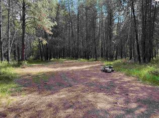 Nna Sanborn Creek Rd LOT 1, Priest River, ID 83856