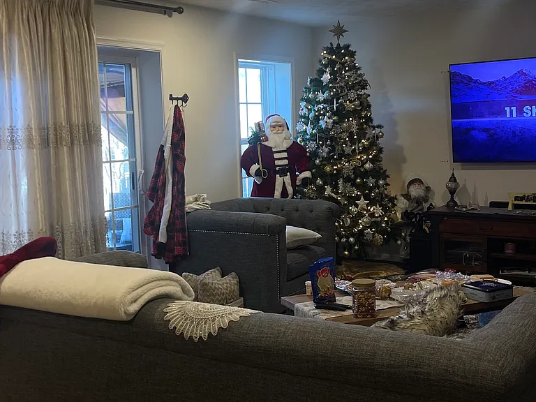 17 Banner Spring Cir — Photo 10