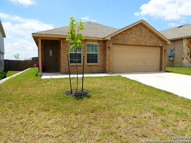 3918 Texas Hawthorn — Photo 1