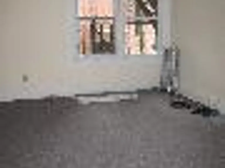50 Egmont St #3 — Photo 9