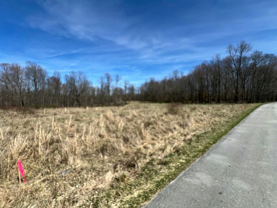 2nd image of 9999 Flatwoods School Rd Tract 2