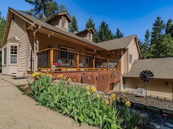 16111 Pioneer Creek Rd, Pioneer, CA 95666