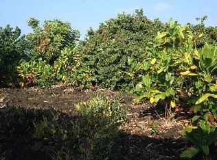 81 966th #41-A, Kealakekua, HI 96750