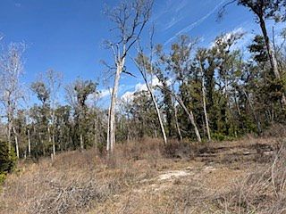 3rd image of 135 NE 349th Ave
