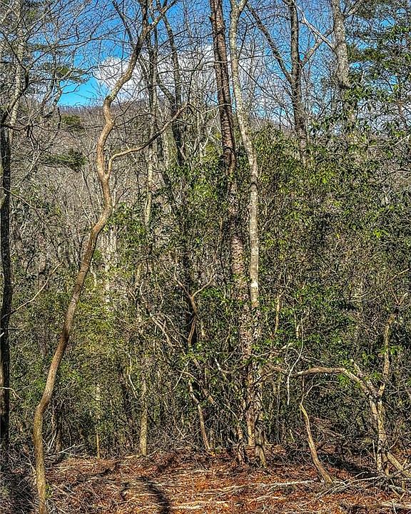 1st image of 0 Ts Jarrard Rd #4