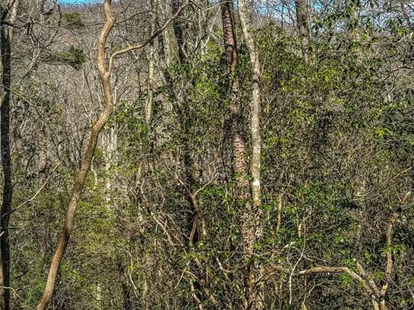 0 Ts Jarrard Rd #4, Dahlonega, GA 30533